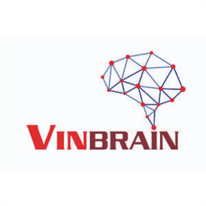 Công ty Cổ phần VinBrain